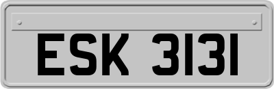 ESK3131