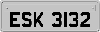 ESK3132