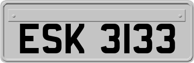 ESK3133