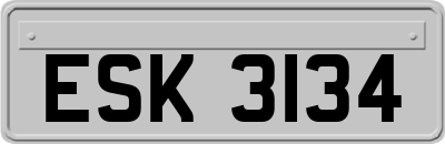 ESK3134