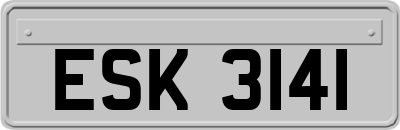 ESK3141