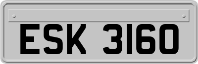 ESK3160