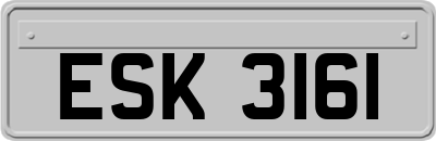 ESK3161