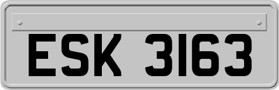 ESK3163