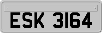 ESK3164