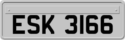 ESK3166