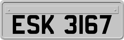ESK3167