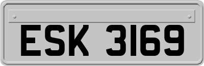 ESK3169