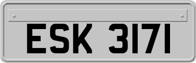 ESK3171