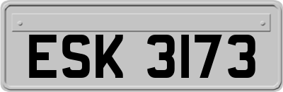ESK3173