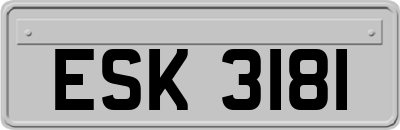 ESK3181