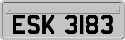 ESK3183