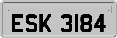 ESK3184