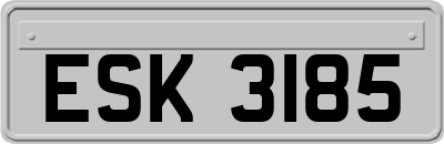 ESK3185