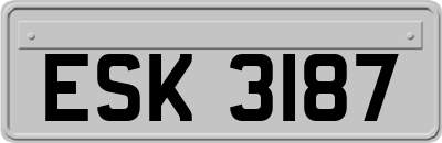 ESK3187