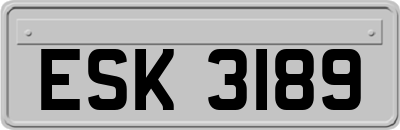 ESK3189