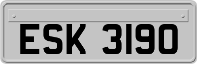 ESK3190