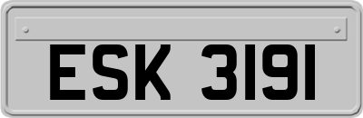 ESK3191