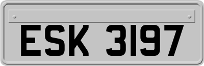 ESK3197