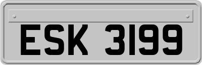 ESK3199