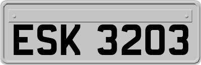 ESK3203