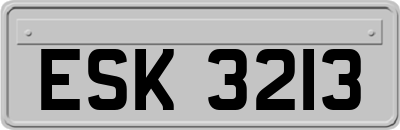 ESK3213