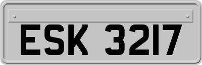 ESK3217