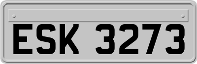 ESK3273