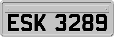 ESK3289