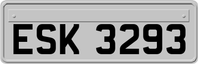 ESK3293