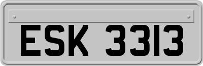 ESK3313