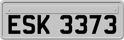 ESK3373