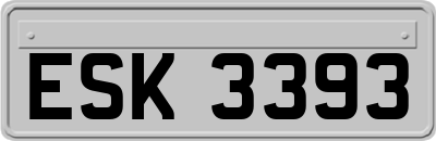 ESK3393