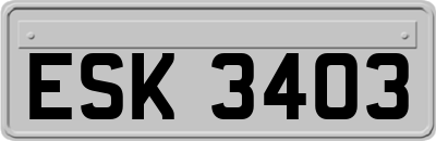 ESK3403