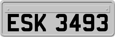ESK3493