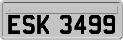 ESK3499