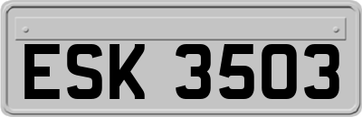 ESK3503