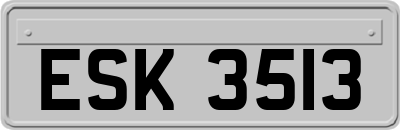 ESK3513