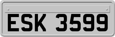 ESK3599