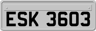 ESK3603