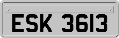 ESK3613