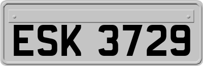 ESK3729