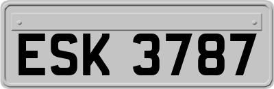 ESK3787