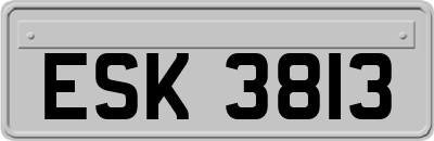 ESK3813
