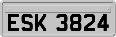 ESK3824