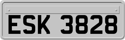 ESK3828