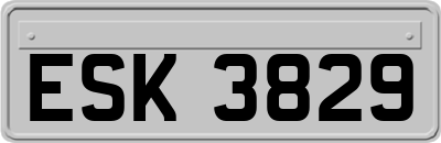 ESK3829