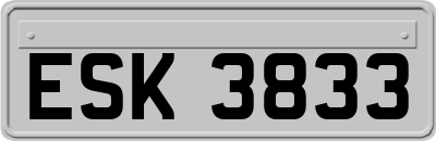ESK3833