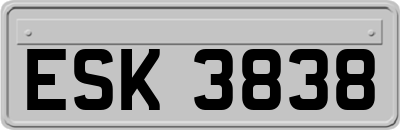 ESK3838