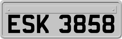 ESK3858